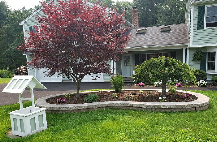 Plantings4 (resized)