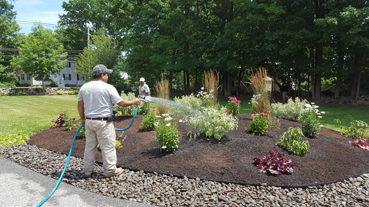 Plantings9 (resized)